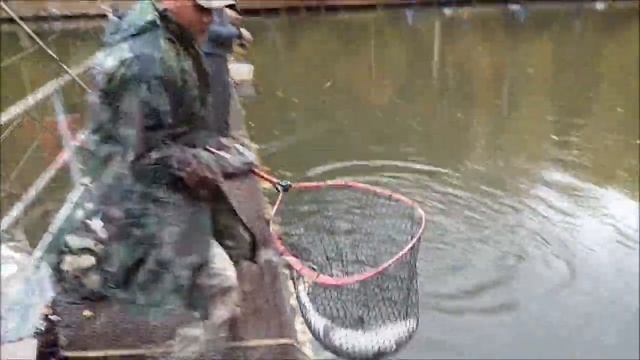 Форель предпочитает резину. Клёвое место, Лосиный остров. смотреть онлайн