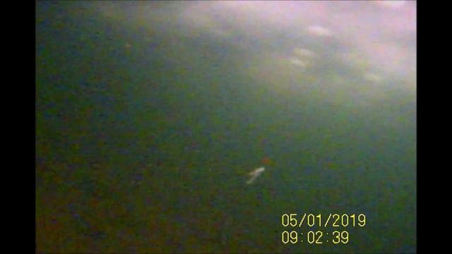 05.01.19 Ловля форели на подводную камеру смотреть онлайн