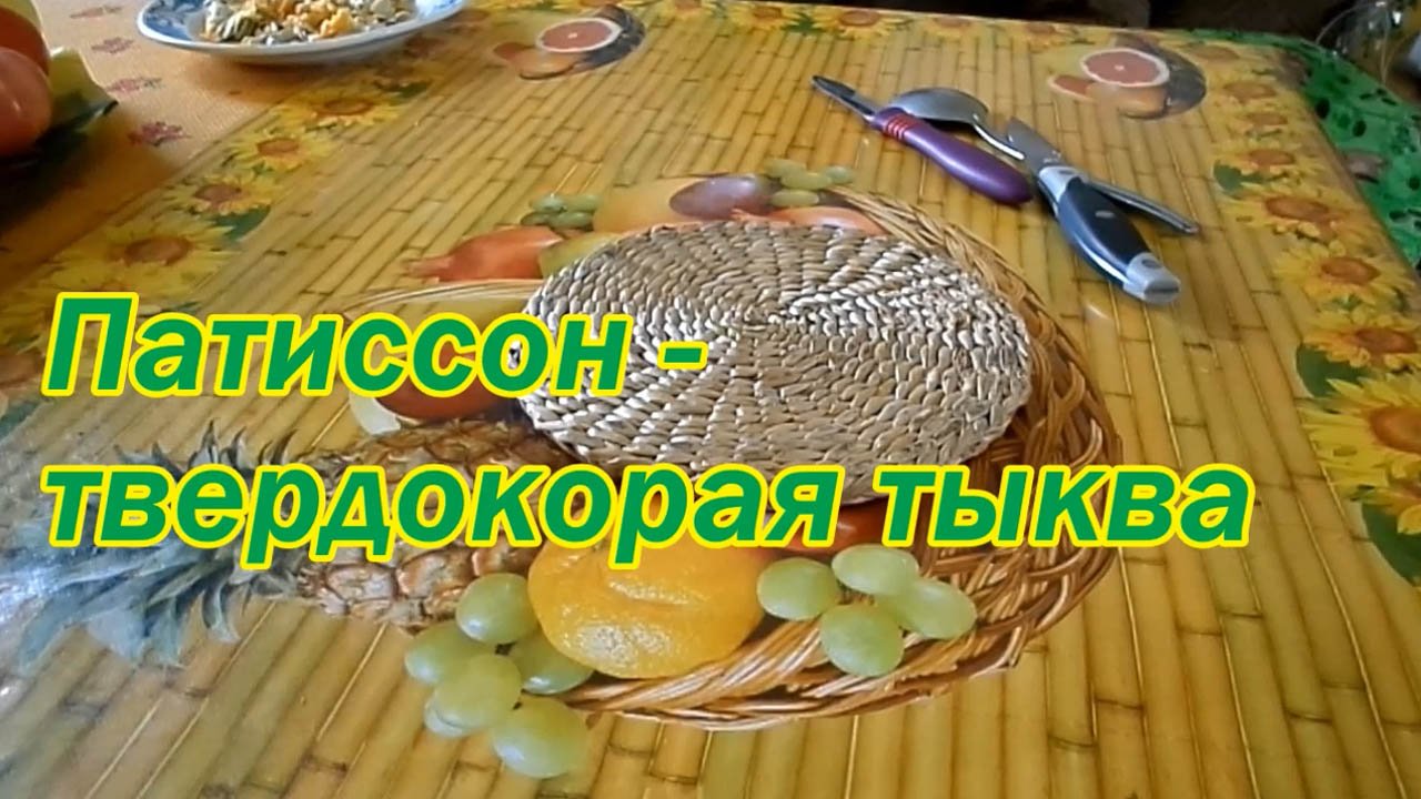 патиссон.mp4