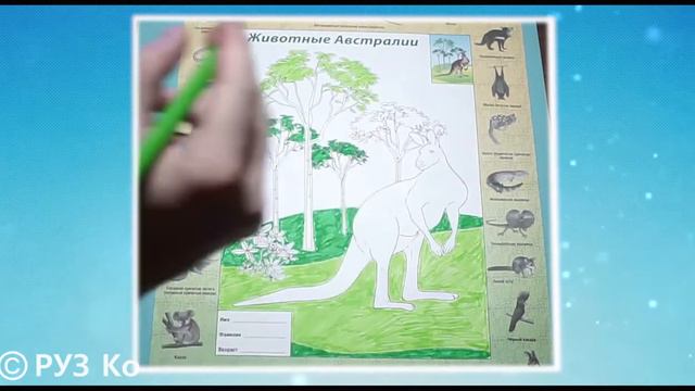 Наклейки Животные Австралии арт Нт18п смотреть онлайн