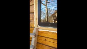 Установка пластикового окна в деревянном доме,бане в обсаду