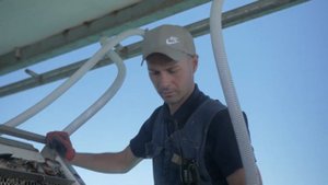 Агрокомплекс: выращивание мидий и устриц