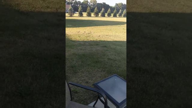 Young Teen Gets Destroyed By Dad Fingering Skills смотреть онлайн