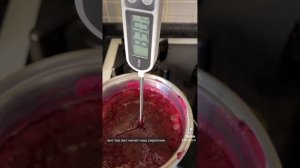 Зефир из голубики,самый простой и быстрый рецепт