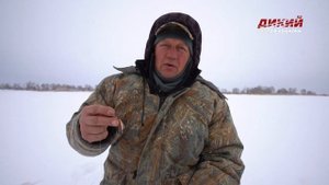 Судак. Зимняя блесна на реке