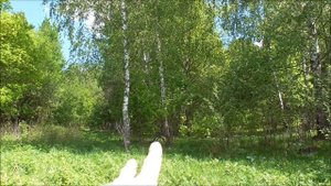 Ножны из бересты, подробно! Ч.1 Выбор, заготовление, хранение.