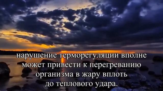 Одежда из синтетики в чем опасность  — Статья