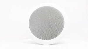 Потолочный динамик SKY SOUND TS-2631TW