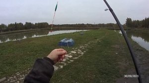 БЕШЕНЫЙ КЛЕВ ФОРЕЛИ И МОИ СНАСТИ НА ФОРЕЛЬ ОСЕНЬЮ