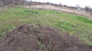 Быстрый КОМПОСТ когда и как весной