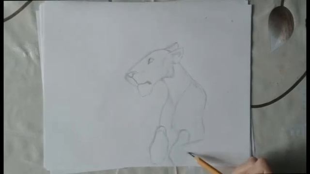 КАК НАРИСОВАТЬ ЛЬВИЦУ!!!HOW TO DRAW A LIONESS!!! смотреть онлайн