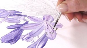 Painting a Agapanthus Preview - Billy Showell ⎮Watercolour Beautiful