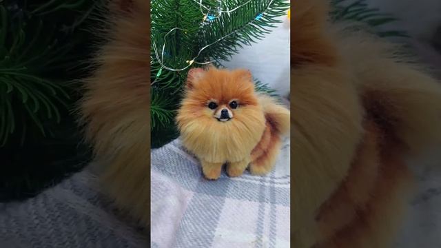 брошь по фото питомца. Выполнена из искусственного меха #шпиц#померанскийшпиц#брошьшпиц#брошь#пом смотреть онлайн