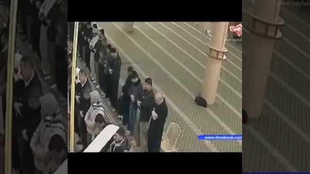 مات وهو يصلي ياريتني كنت مكانه смотреть онлайн