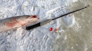 Рыбалка у МОСТА с ПЯТИТЫСЯЧНОЙ КУПЮРЫ. по Пемзе до Амура. Рыбалка в Декабре