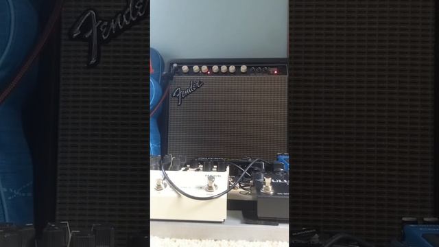 Fender Champion 110  1993 Amp