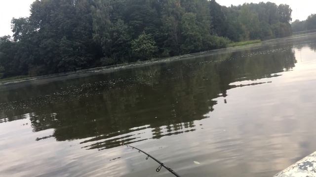 Рыбалка Тишково Спиннинг|Утренний Клёв|На Вертушку #тишково#рыбалка#окунь#утреннийклёв#спининг смотреть онлайн