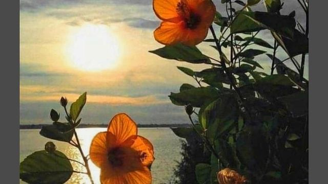 Снится бабушка и пытается передать дар. О наших сверхспособностях смотреть онлайн