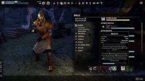 Stamina Sorcerer PvP Build "Sword-Singer" - Horns of the Reach