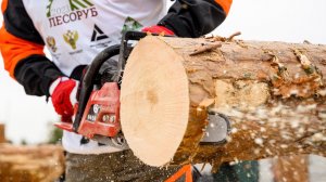 GEOS Лесоруб 2023 - бензопилы для профессионалов вальщиков, арбористов и дачников.