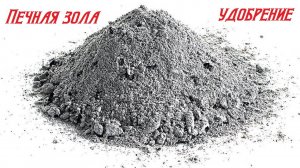 Печная зола в качестве удобрения. Подкармливаем деревья и кустарники.