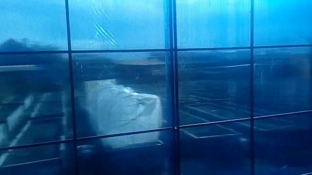 Навес для бассейна своими руками