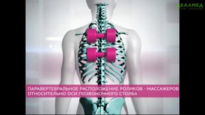 Установка Ормед Профилактик роликовый массаж и вытяжение позвоночника