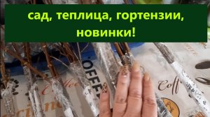 Сад - работы. Подготовка теплицы для рассады. Обрезка гортензий и новинки!