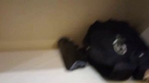 Поездка в Сочи. День 2. Обзор номера в отеле "Лазурная". # " Отель Рэдиссон Лазурная"г. Сочи
