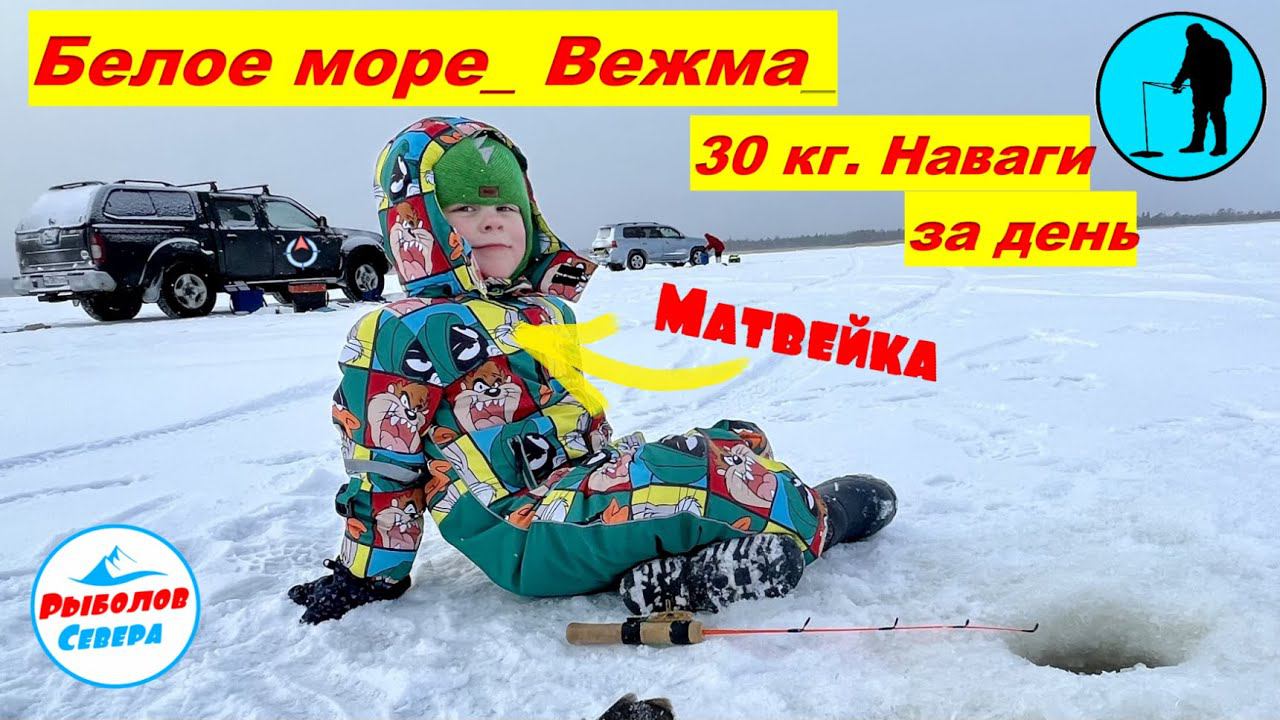 ✅ НАВАГА   УНСКАЯ ГУБА l БЕЛОЕ МОРЕ #рыболов_севера