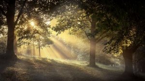 Истории копателей. Мистика на копе (4в1) Выпуск №1.