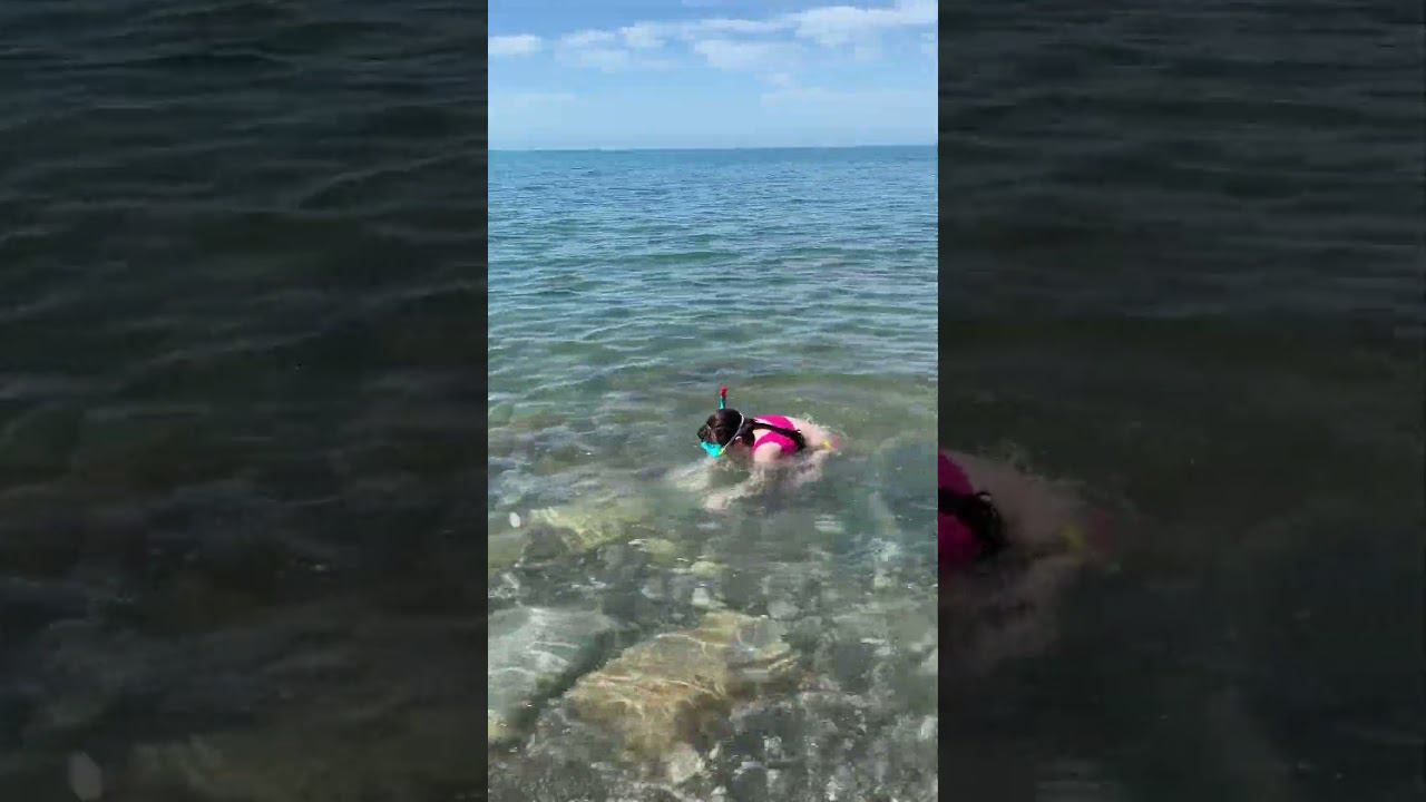 Дикий пляж ЛОО! 12 июня 2024 г. #лоо #дикийпляж #сочи #пляжлоо смотреть онлайн