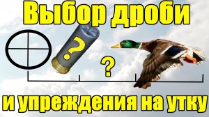 Дробь на утку весной в 2024. Упреждение/Вынос при охоте на утку/селезня