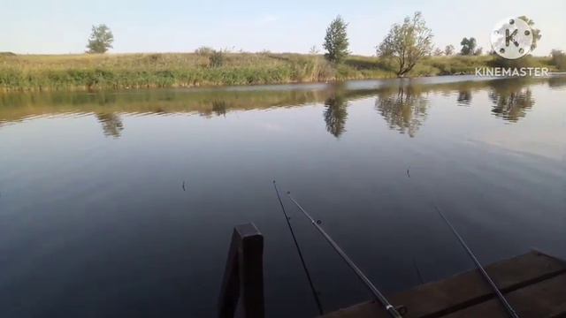 Выходные на базе "Тихая Заводь" отлично отдохнули смотреть онлайн