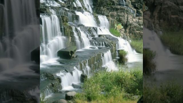 Очень красивые картинки под песню Короче юбку смотреть онлайн