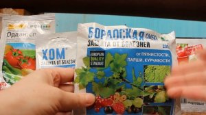 РАМУЛЯРИОЗ - ПРОФИЛАКТИКА на Моём опыте и не только))))