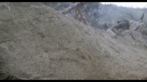 Спасти рядового Райана Обзор фильма