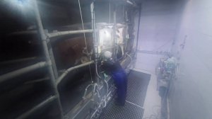 Вечерняя дойка на семейной ферме