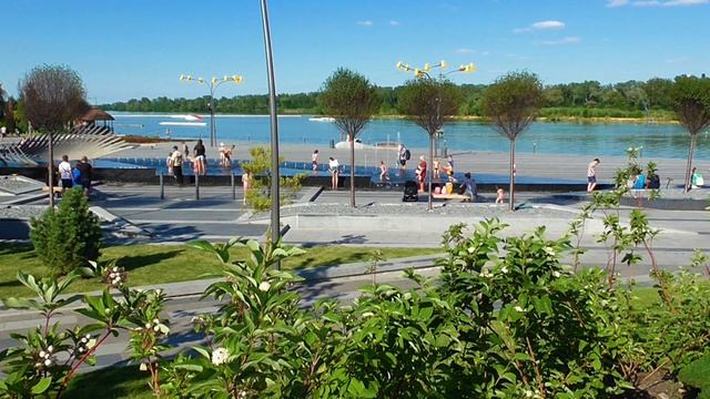 Как появилась жизнь? смотреть онлайн