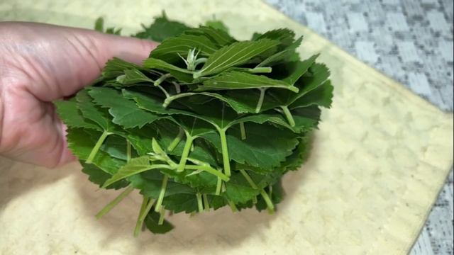 БОЛЬНЫЕ НОГИ ПОБЕГУТ как БЕЛКА В КОЛЕСЕ! Больные ноги превращает в молодые. Вмиг на ноги поставит.