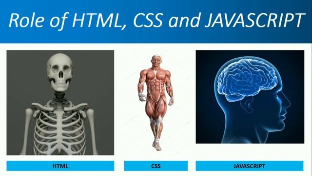 Introduction to HTML CSS JavaScript and How Website Work | What is HTML | Web Development Course #0