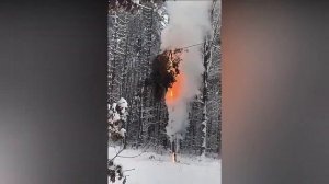 Дерево у пало на ЛЭП и произошло замыкание и электрическая дуга⚡️