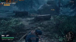 Days Gone Ryzen 5 2600 MSI GTX1660Ti