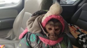 Ульяна и Федя, ждём маму