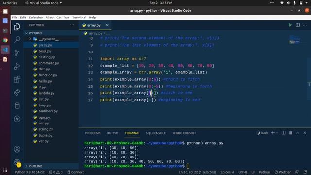 #21 Arrays In Python | Python Array Basic Operations|Array Methods | Python3 tutorials in Hindi
