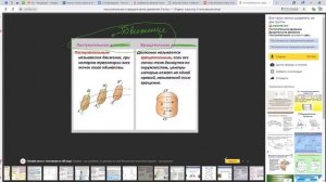 Законы взаимодействия и движения тел