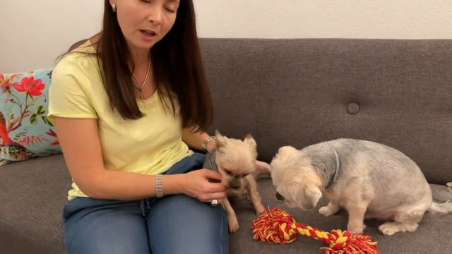 Алена Абель у меня в гостях! Ответный визит смотреть онлайн