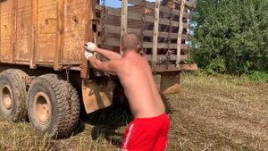 Решил поднять совхоз. Трактор Мтз-80 с телегой от Бога. Серьезные будни тракториста , как всегда.