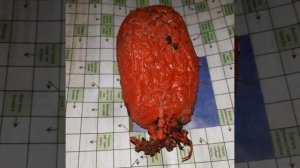 Без названия