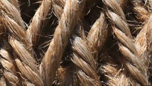 Vorstellung Sony Alpha 6700, FE 70-200 F4 G OSS II, ECM-M1